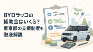 BYDラッコの車両価格と国・東京都のEV補助金を比較する場面