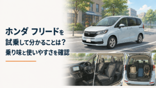 無限パーツを装着したホンダ フリードをイメージしたスポーティで上品なミニバンのカスタムシーン